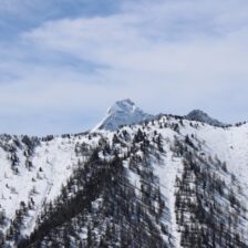 IMG-20240503-WA0047 (2) IMG-20240503-WA0047 (2)